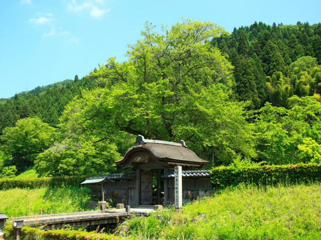 好き＆行ってみたい「福井県の森林浴スポット」ランキング！ 2位「一乗谷朝倉氏遺跡」を抑えた1位は？【2025年調査】 - All About ニュース