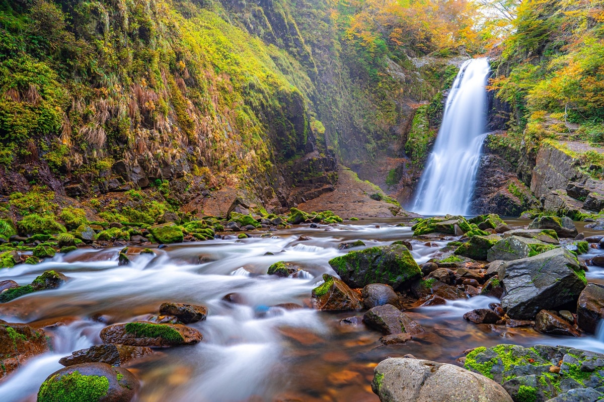 好き＆行ってみたい「宮城県の星空スポット」ランキング