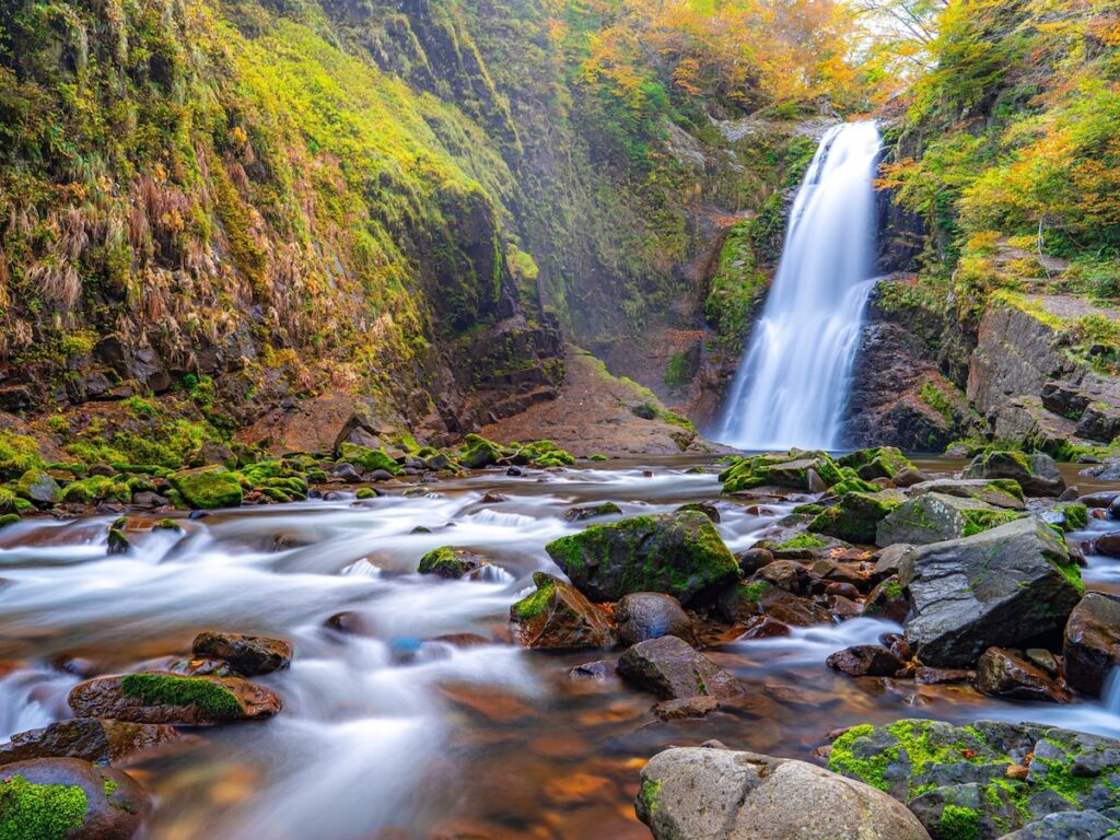 好き＆行ってみたい「宮城県の星空スポット」ランキング！ 2位「秋保温泉」を抑えた1位は？【2025年調査】 - All About ニュース