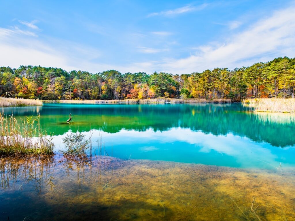 好き＆行ってみたい「福島県の星空スポット」ランキング！ 2位「裏磐梯 五色沼」を抑えた1位は？【2025年調査】 - All About ニュース