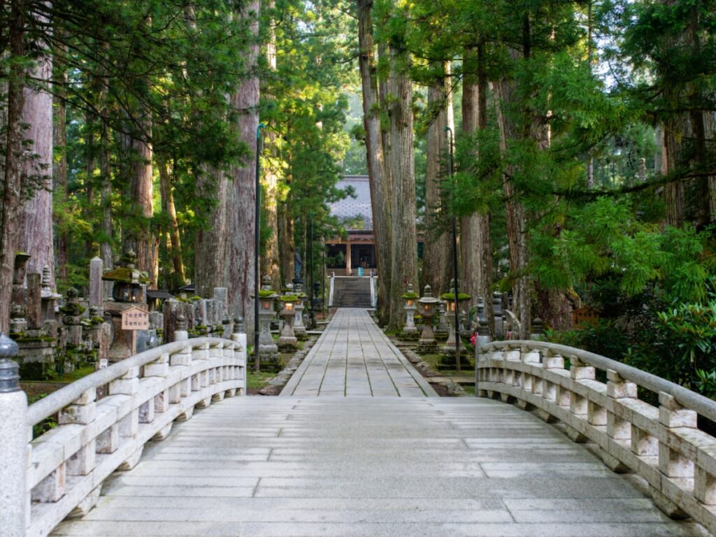 好き＆行ってみたい「和歌山県の森林浴スポット」ランキング！ 2位「高野山奥之院周辺森林」、1位は？【2025年調査】 - All About ニュース
