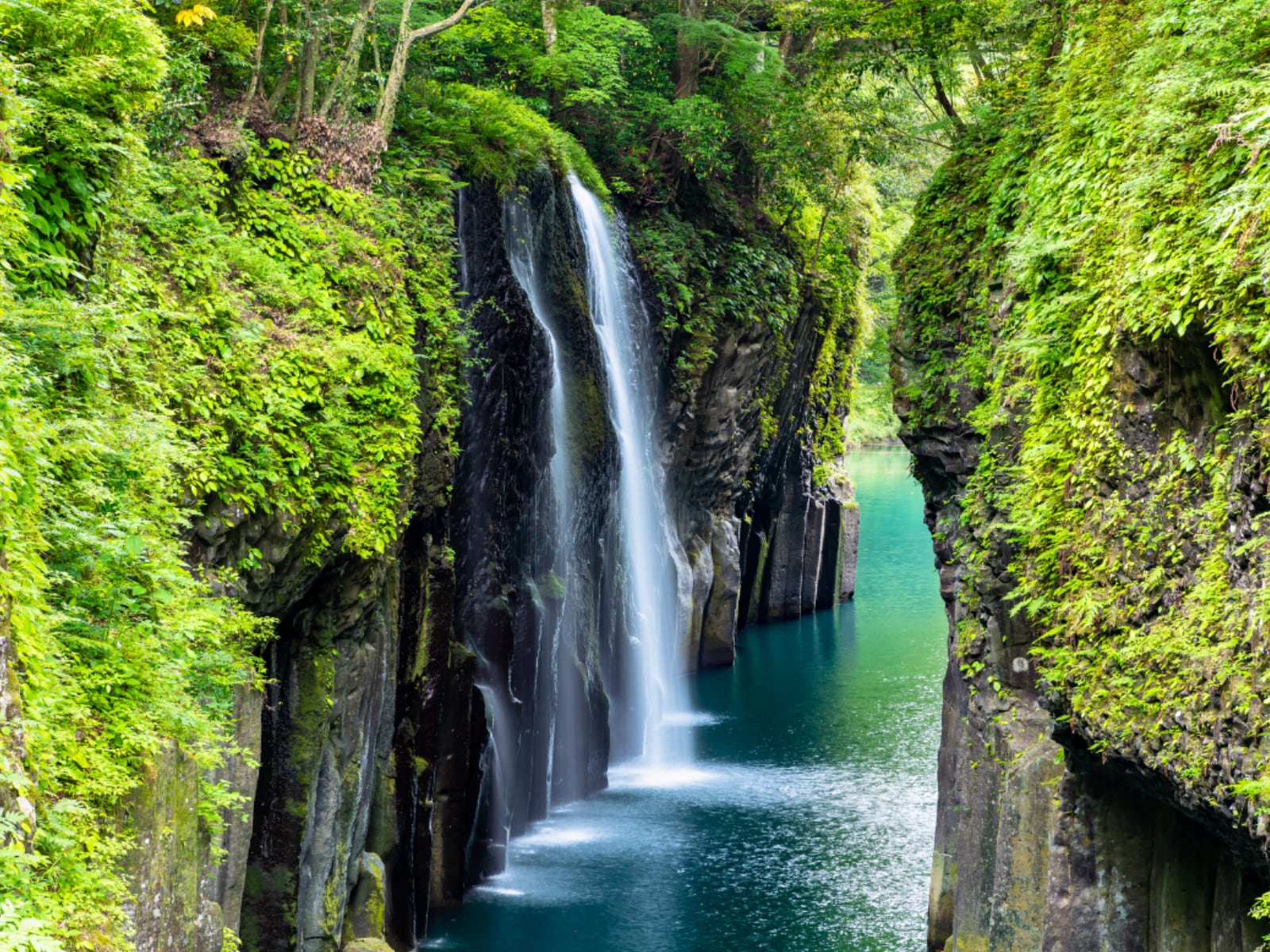 「好き＆行ってみたい宮崎県の森林浴スポット」ランキング