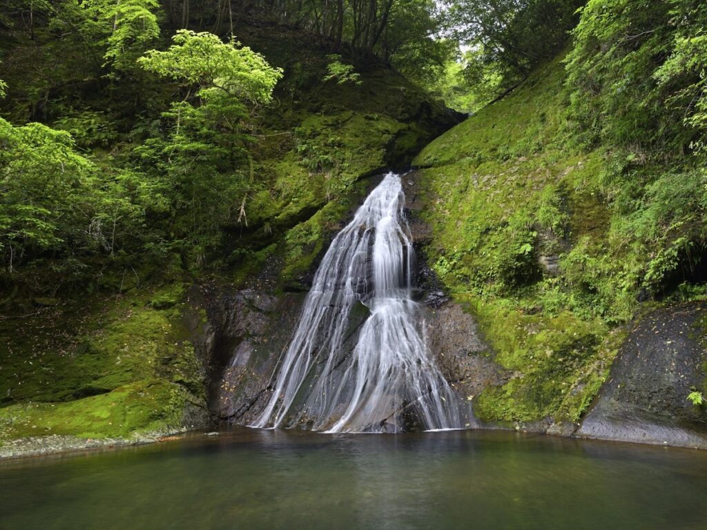 和歌山県で「夏に行きたい滝」ランキング！ 2位「請川のお滝さん」、1位は？【2025年調査】 - All About ニュース