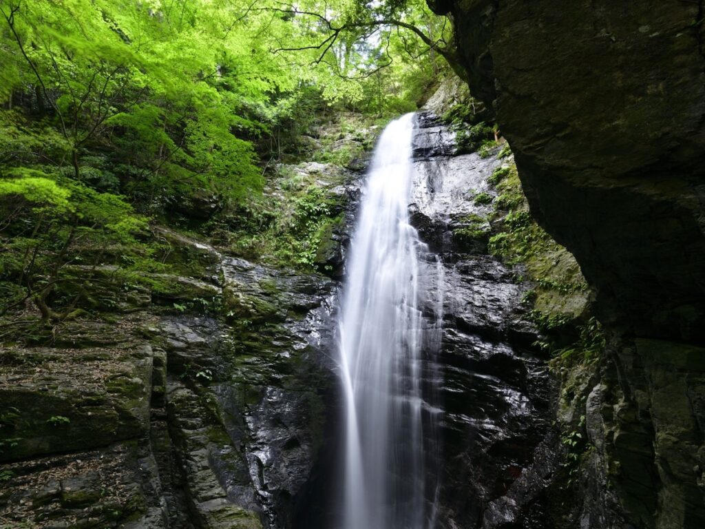 奈良県で「夏に行きたい滝」ランキング！ 2位「蜻蛉の滝」、1位は？【2025年調査】 - All About ニュース