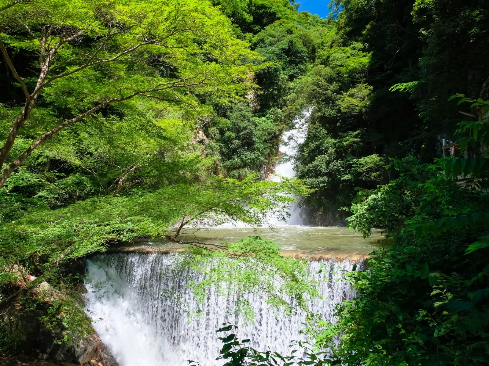 「夏に行きたい滝」ランキング