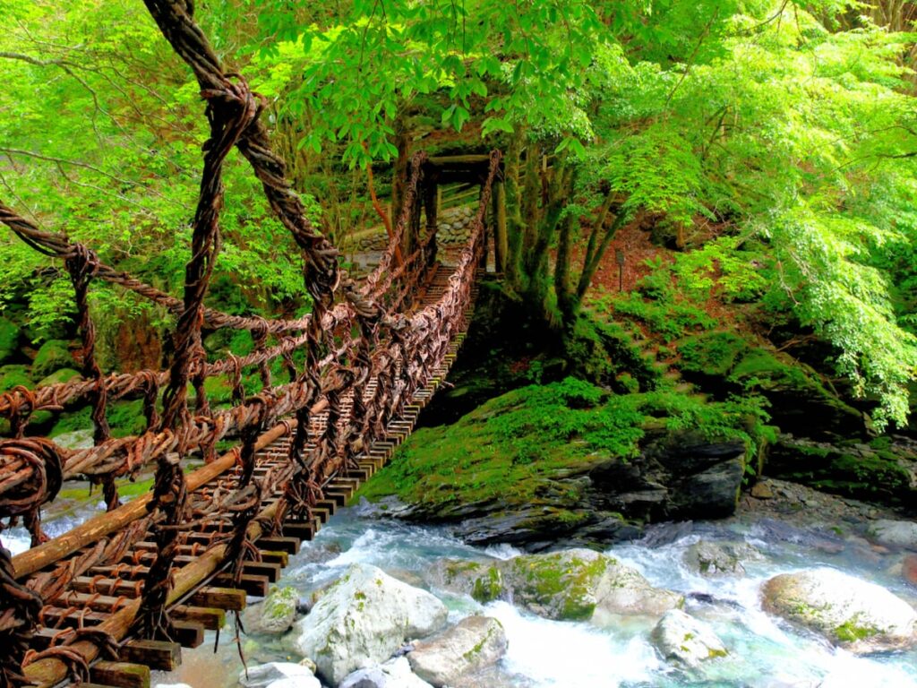 好き&行ってみたい「徳島県の森林浴スポット」ランキング! 「轟九十九滝」「祖谷のかずら橋」を抑えた1位は?【2025年調査】 – All About ニュース 好き&行ってみたい「徳島県の森林浴スポット」ランキング! 「轟九十九滝」「祖谷のかずら橋」を抑えた1位は?【2025年調査】 - All About ニュース