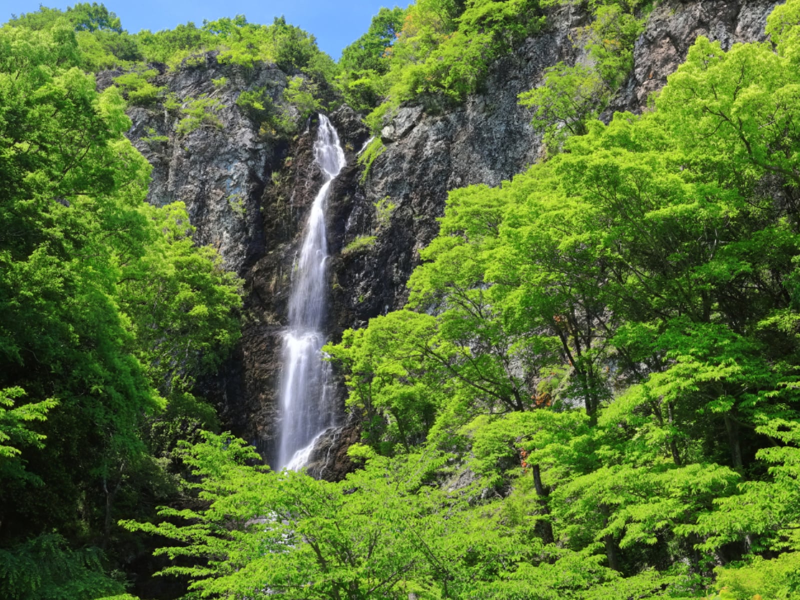 好き＆行ってみたい「香川県の森林浴スポット」ランキング