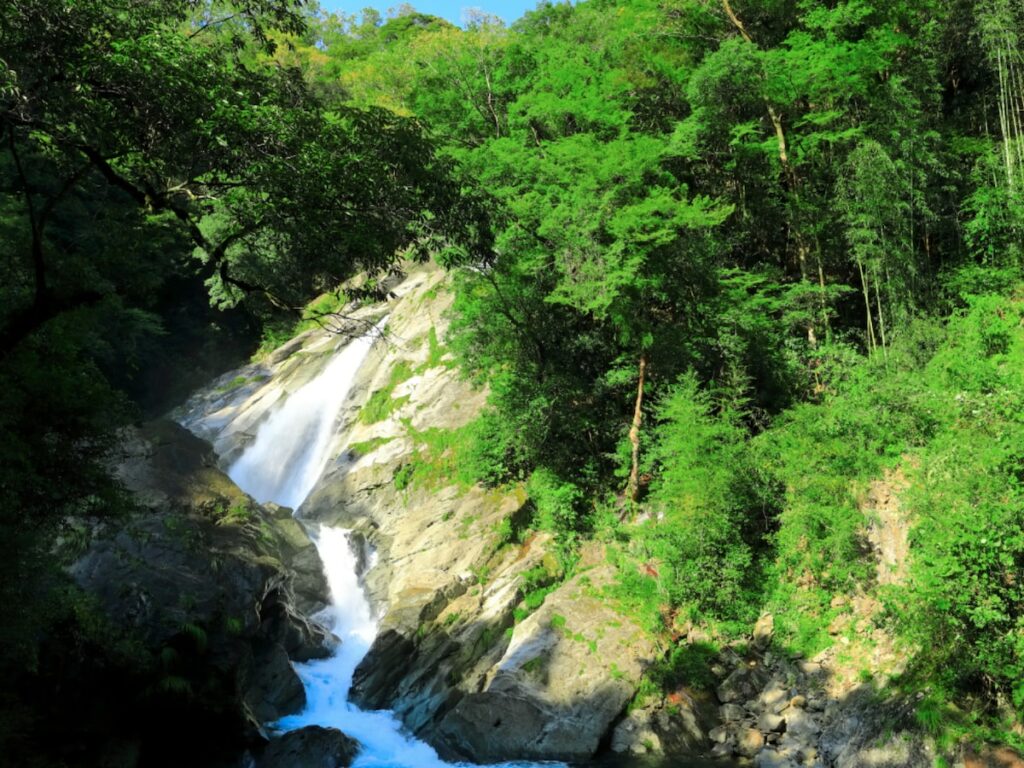 好き&行ってみたい「高知県の森林浴スポット」ランキング! 2位「轟の滝(津野町)」を抑えた1位は?【2025年調査】 – All About ニュース 好き&行ってみたい「高知県の森林浴スポット」ランキング! 2位「轟の滝(津野町)」を抑えた1位は?【2025年調査】 - All About ニュース