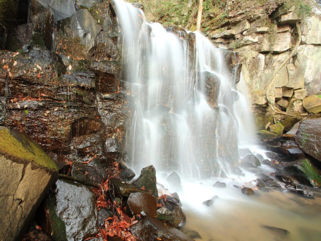福島県で「夏に行きたい滝」ランキング！ 2位「八流の滝」を抑えた堂々の1位は？【2025年調査】 - All About ニュース