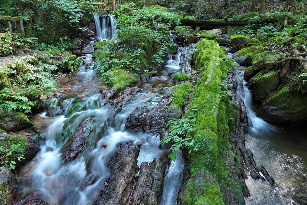 「福井県で夏に行きたい滝」ランキング