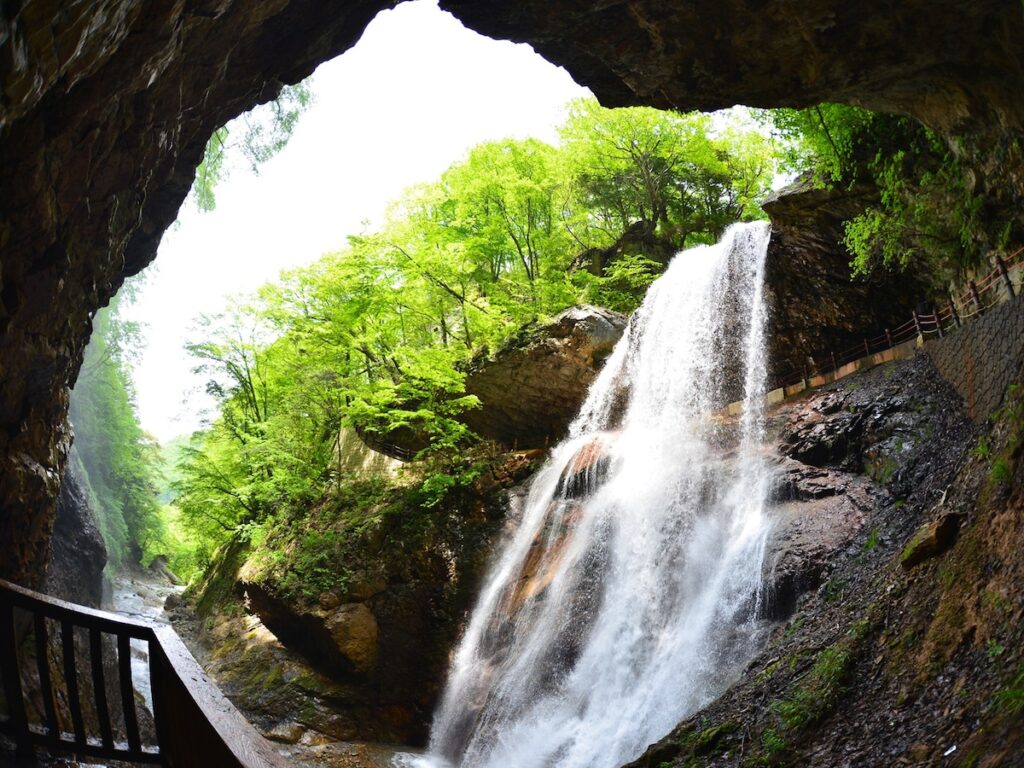長野県で「夏に行きたい滝」ランキング! 2位「雷滝」、11票差の1位は?【2025年調査】 – All About ニュース 長野県で「夏に行きたい滝」ランキング! 2位「雷滝」、11票差の1位は?【2025年調査】 - All About ニュース