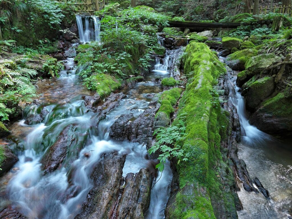 福井県で「夏に行きたい滝」ランキング！ 2位「瓜割の滝」を抑えた、圧倒的1位は？【2025年調査】 - All About ニュース