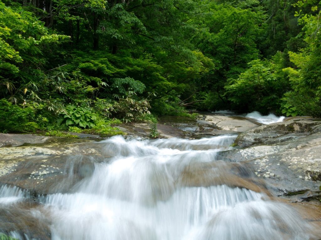 富山県で「夏に行きたい滝」ランキング！ 「龍神の滝」を倍以上の票数で抑えた1位は？【2025年調査】 - All About ニュース