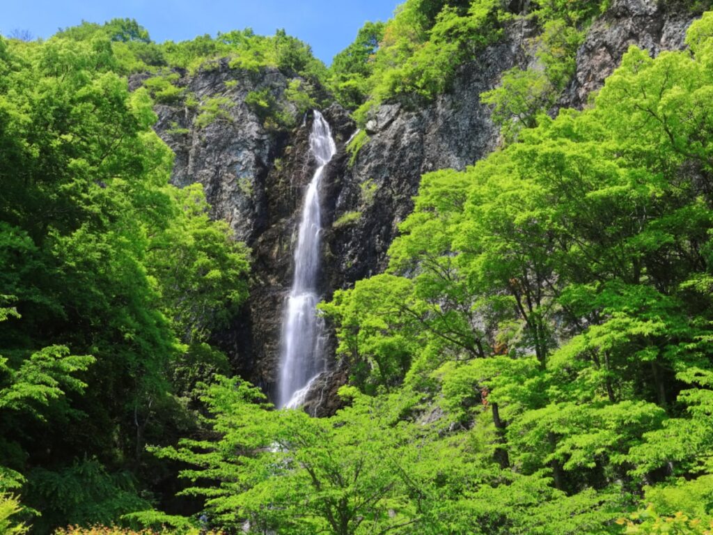 香川県で「夏に行きたい滝」ランキング！ 2位「不動の滝」、1位は？【2025年調査】 - All About ニュース