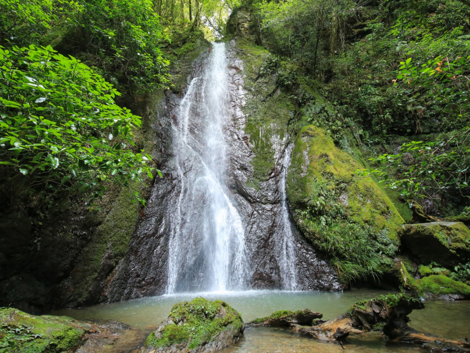 「愛媛県で『夏に行きたい滝』」ランキング