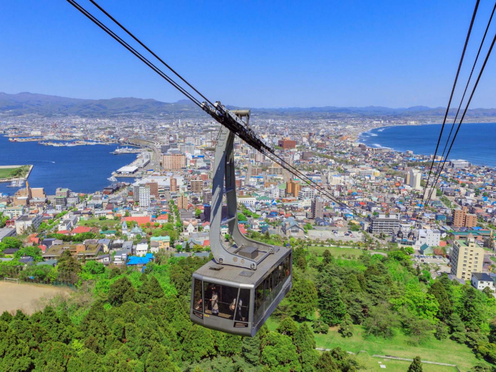「北海道・東北地方の森林浴スポット」ランキング