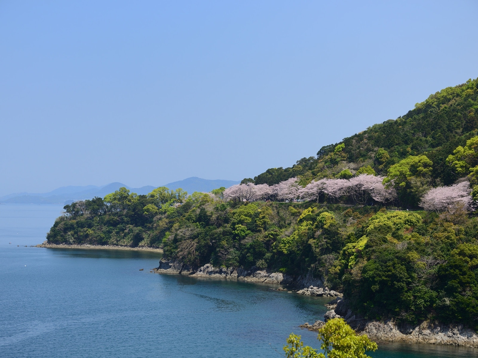 名湯百選で行ってみたい「熊本県の温泉」ランキング