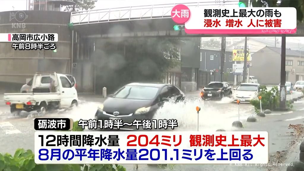 共有