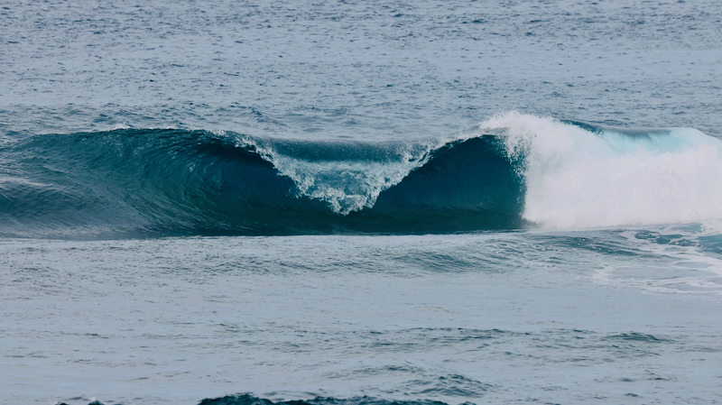 スクリーンショット 2025-08-02 8.38.07