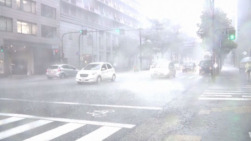 共有