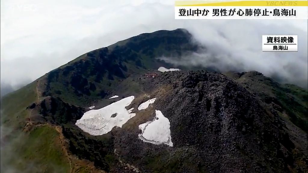 共有