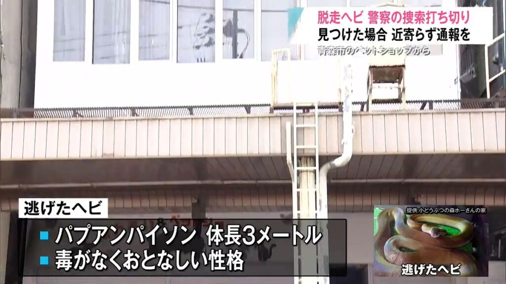 青森放送