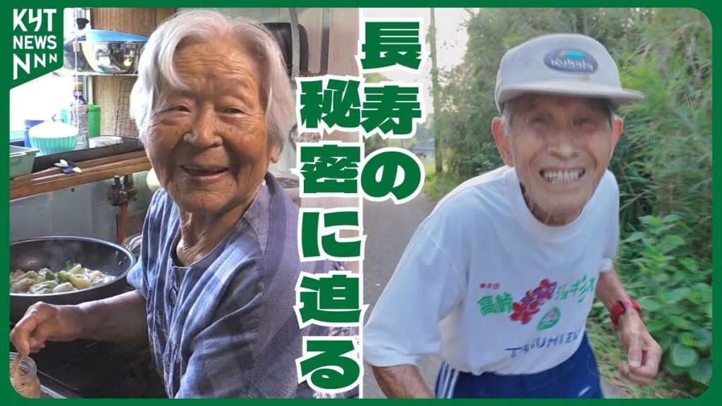 共有