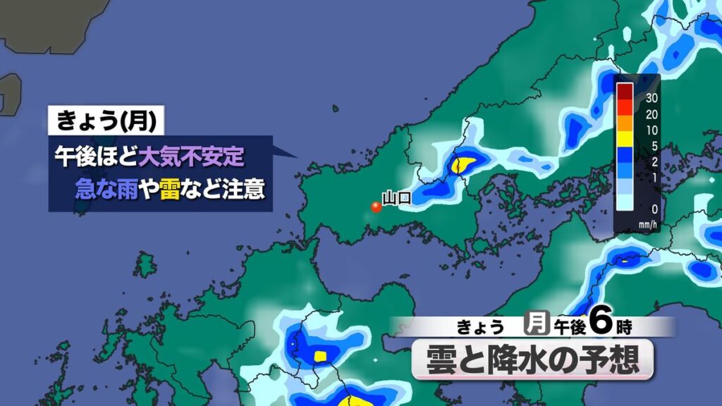 共有