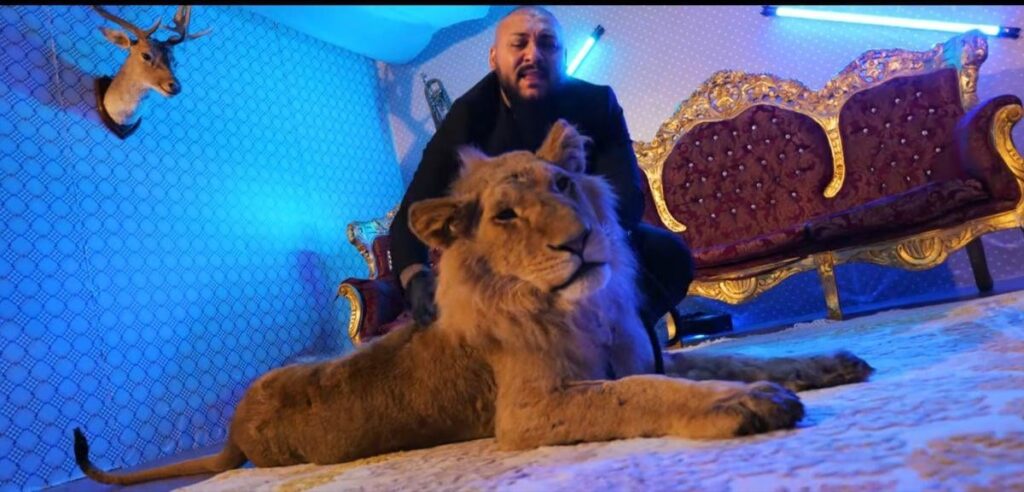 ビデオDani Mocanuは、処方箋 /最初の例では、Pimping、Money Laundering、およびCRCRの決定に基づいて組織された犯罪グループの告発を免れました。