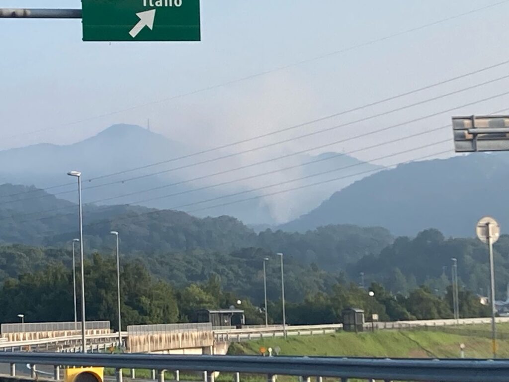 共有