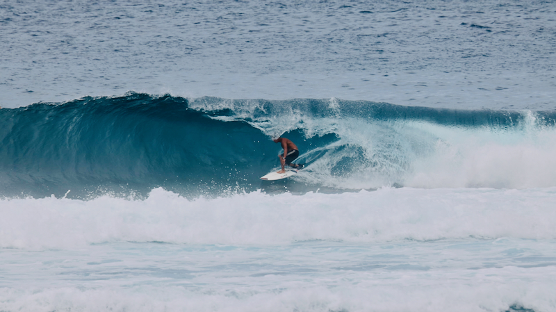 スクリーンショット 2025-08-02 8.39.27