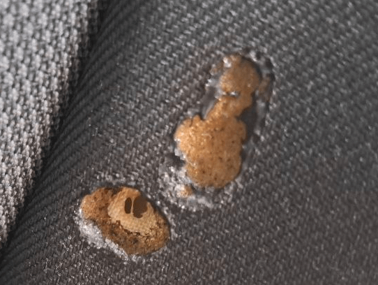 この種のタバコは、リージョン地域のカーシートで燃え尽きるのはどこですか。よろしくお願いします