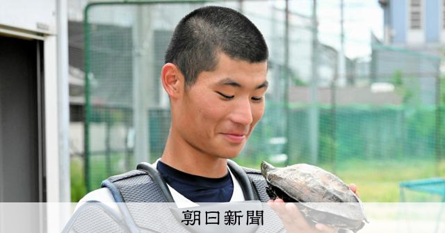 「運も必要だ」飼い始めたら甲子園へ　東大阪大柏原を導く「守り亀」 - 高校野球 [大阪府]：朝日新聞