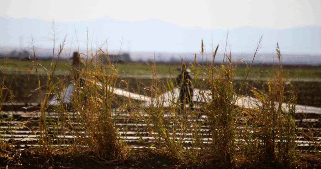S. Korea: Farmers sue energy companies over climate-related damage