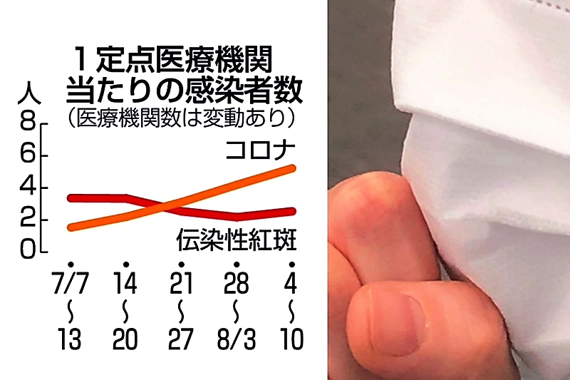 長野県の新型コロナ感染者は7週連続増 全国的にも増加傾向 県が注意呼びかけ｜信濃毎日新聞デジタル 信州・長野県のニュースサイト - 信濃毎日新聞デジタル