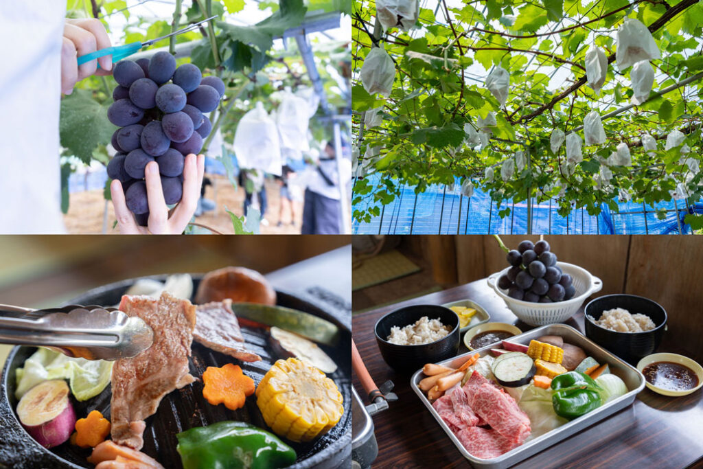 「みどり農園」でぶどう狩り・BBQなどを楽しんできた！「美味しい」がいっぱい！【京都府井手町】 - ALCO 宇治・城陽　山城地域の情報サイト