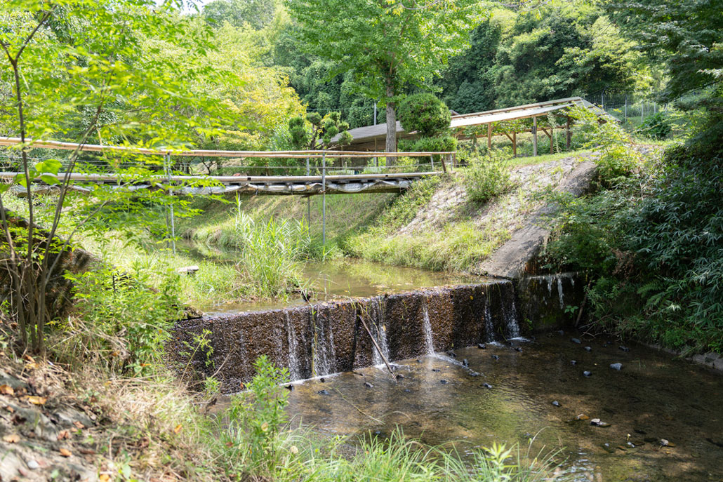 観光農園「みどり農園」の画像