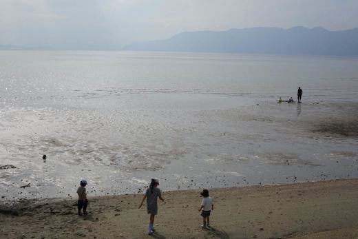 【鹿児島県霧島市】小浜の海で遊ぼう 学ぼう 干潟のいきもの観察ツアー ／ OBAMA LIFE