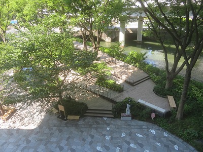 IMG_7778.jpg
