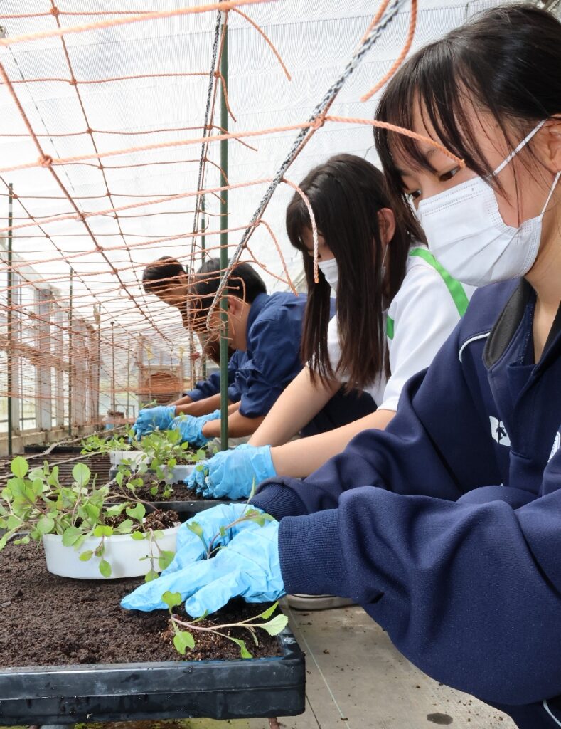 大分県立農業大学校でオープンキャンパス　高校生らが体験実習 - 大分のニュースなら 大分合同新聞プレミアムオンライン Gate