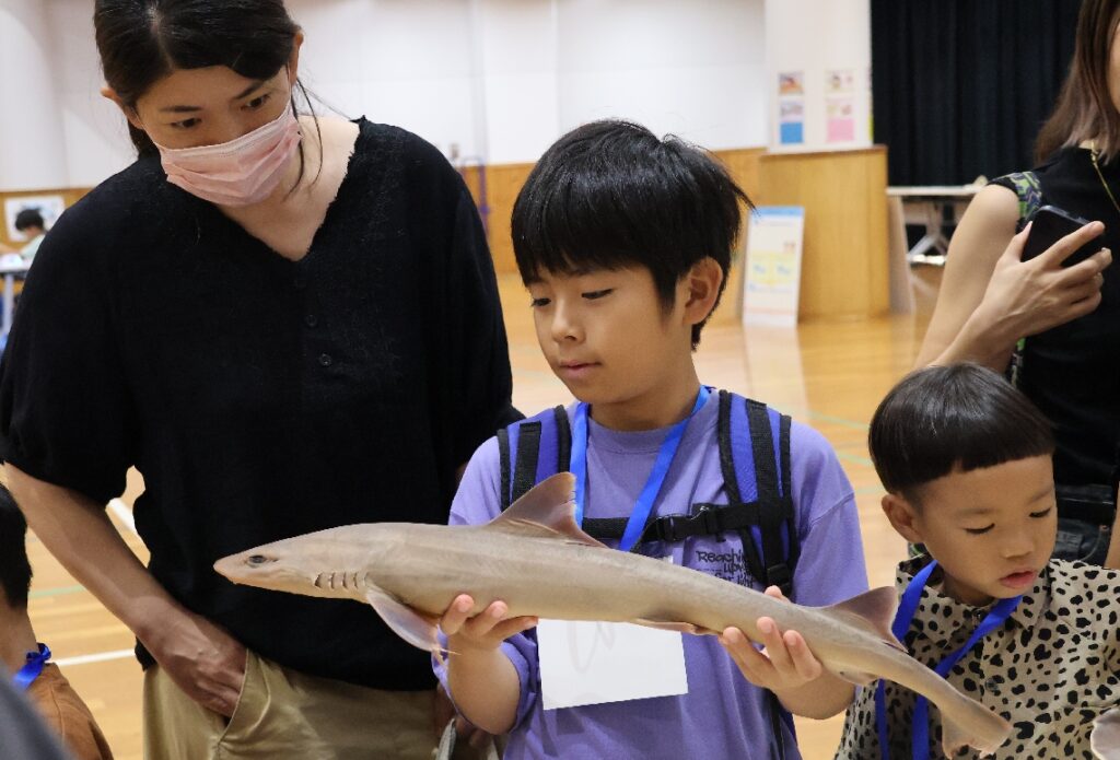 大分市佐賀関で「海の学校」　子どもたちが魚の生態や漁法など学ぶ - 大分のニュースなら 大分合同新聞プレミアムオンライン Gate