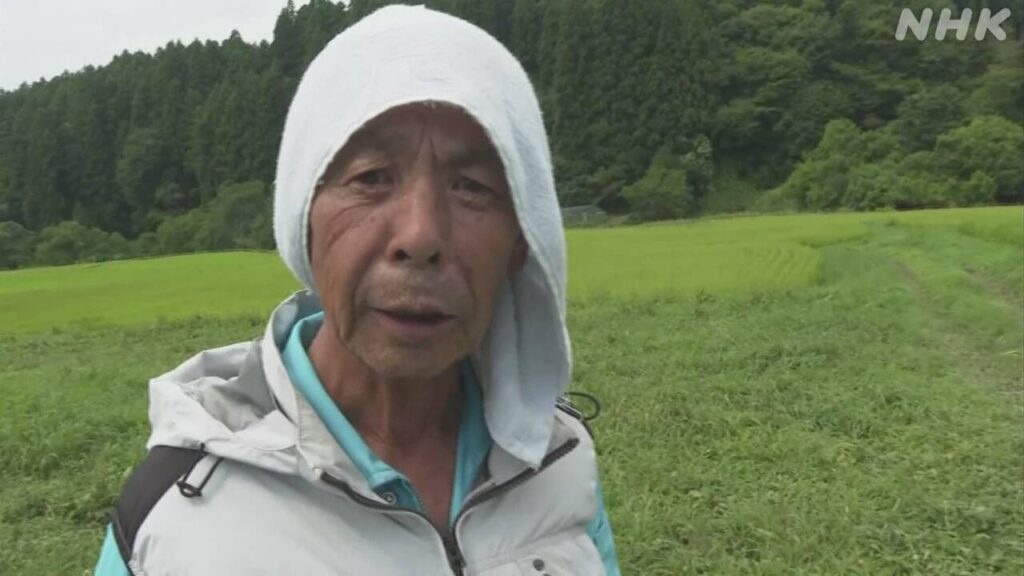 水不足 一部で稲が枯れ始める ジャガイモの生育にも影響 - nhk.or.jp