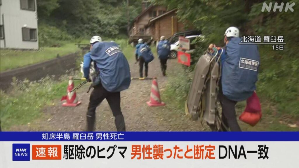 北海道 羅臼岳 駆除されたヒグマが男性襲ったと断定 DNA一致 - nhk.or.jp