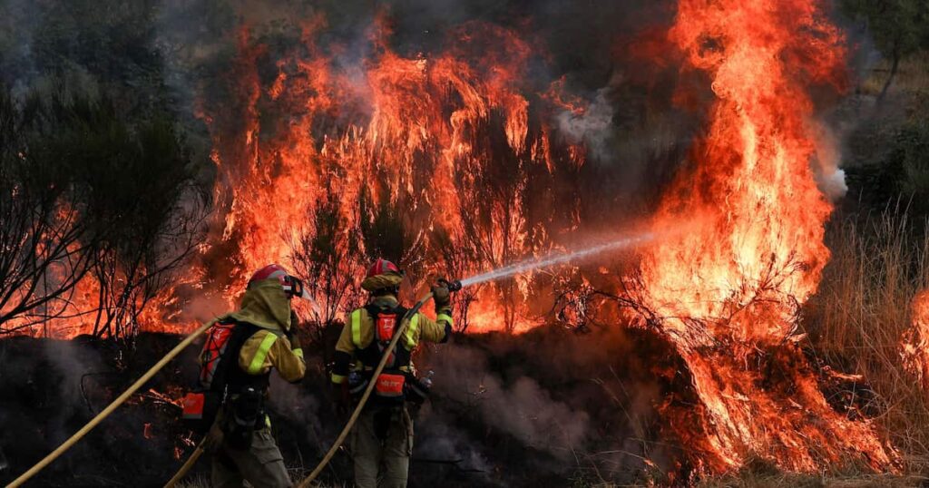 欧州止まらぬ山火事 猛暑と農村の「過疎化」で被害拡大 焼失面積は東京の4倍超 - 産経ニュース