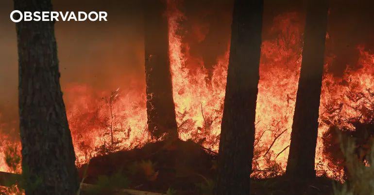 ポルトガルは「非常に複雑な夜」の後にヨーロッパの民事保護メカニズムを活性化し、4つのカナデアンを求めています