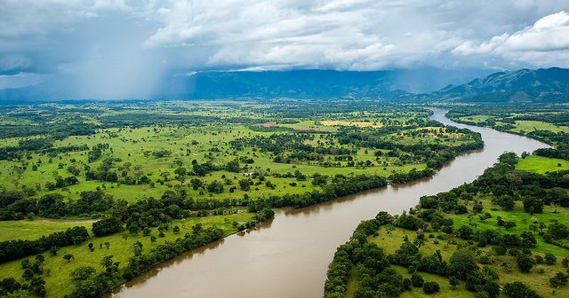 EU: Commission launches call for evidence on possible Omnibus legislation for environmental legislation, incl. EUDR