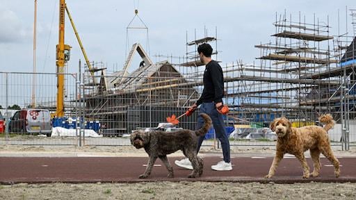 ホームクライシスには厳しい選択が必要です：「住宅ローンの利子控除を削除し、ジグザグ政治で停止」