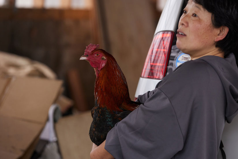 栃木県で唯一の地鶏を育て、守り続ける「栃木しゃも加工所」／栃木県鹿沼市 - NIHONMONO