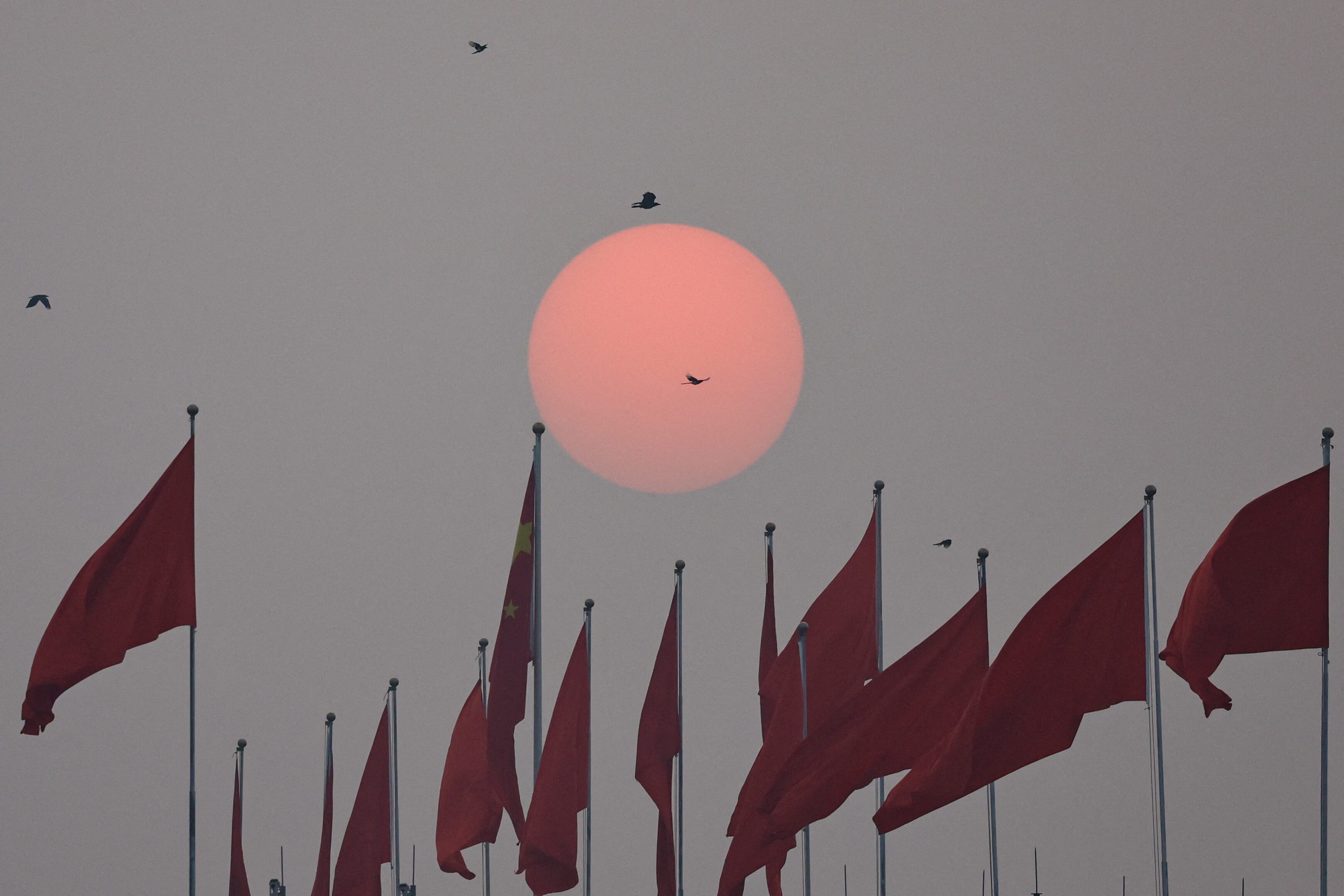 中国、外交部門トップに続き女性幹部も拘束＝関係筋