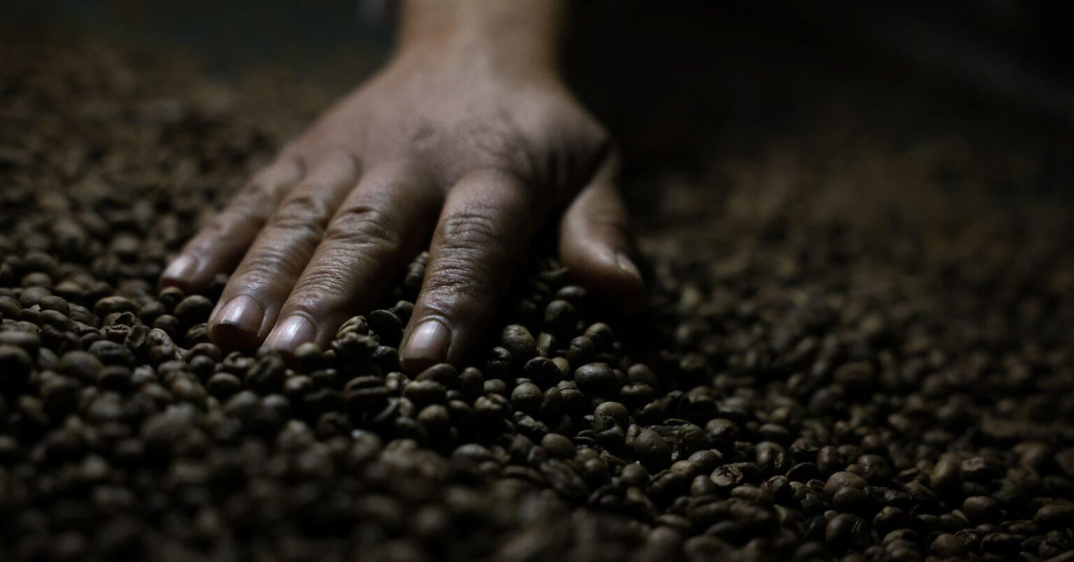 中国は米国の関税を受けて183人のブラジルのコーヒー売り手を歓迎します